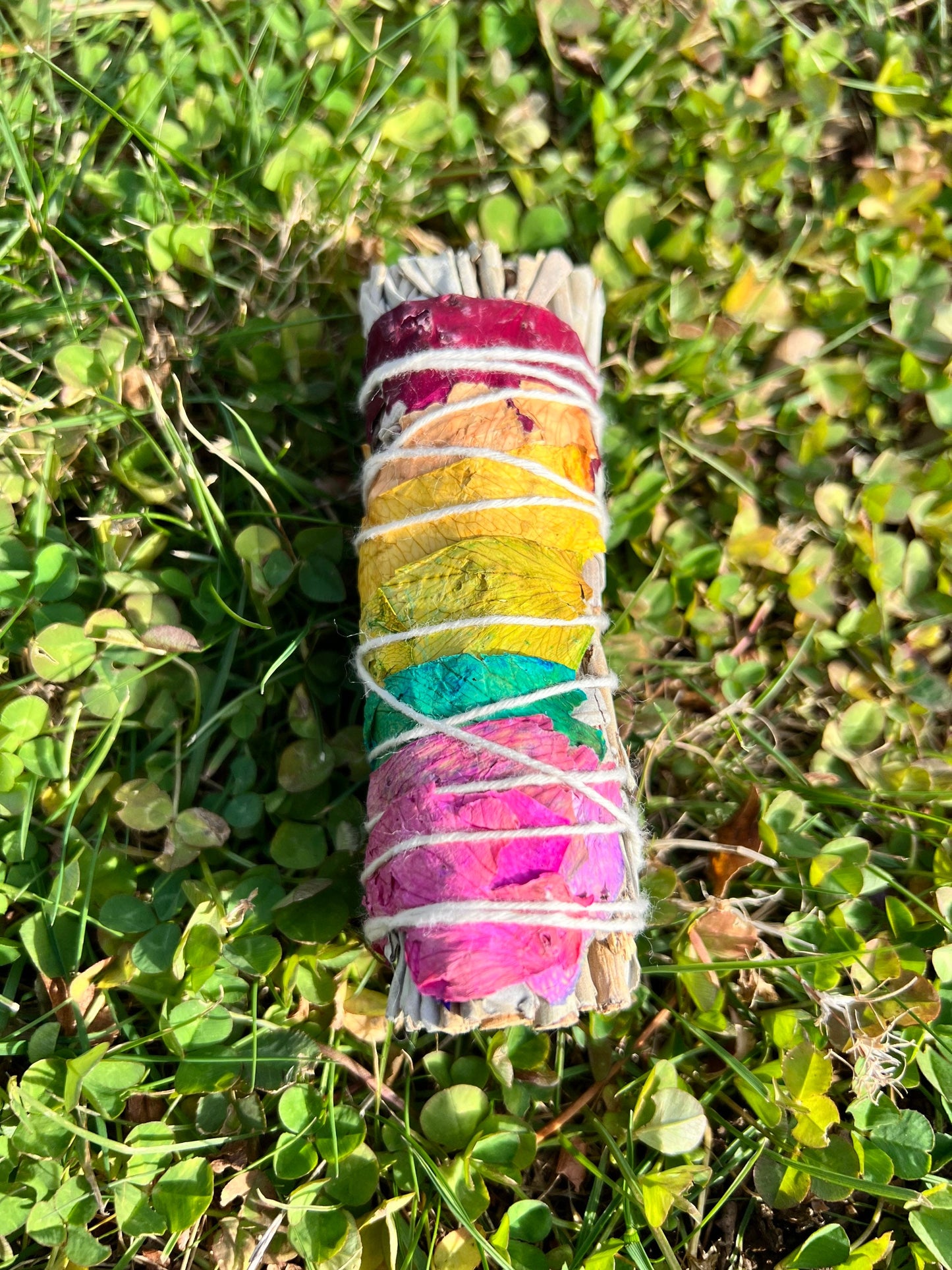 Bright Colorful Rainbow Chakra Sage Bundle