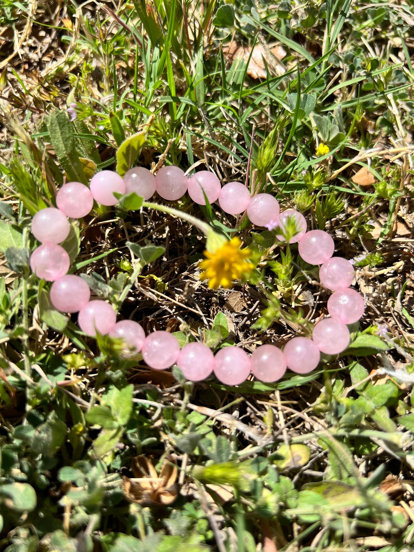 Cotton Candy Pink Rose Quartz Bracelet 8MM