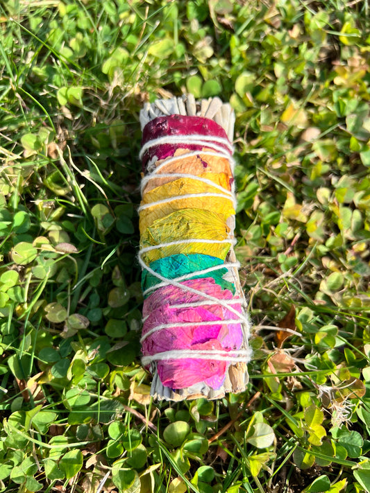 Bright Colorful Rainbow Chakra Sage Bundle