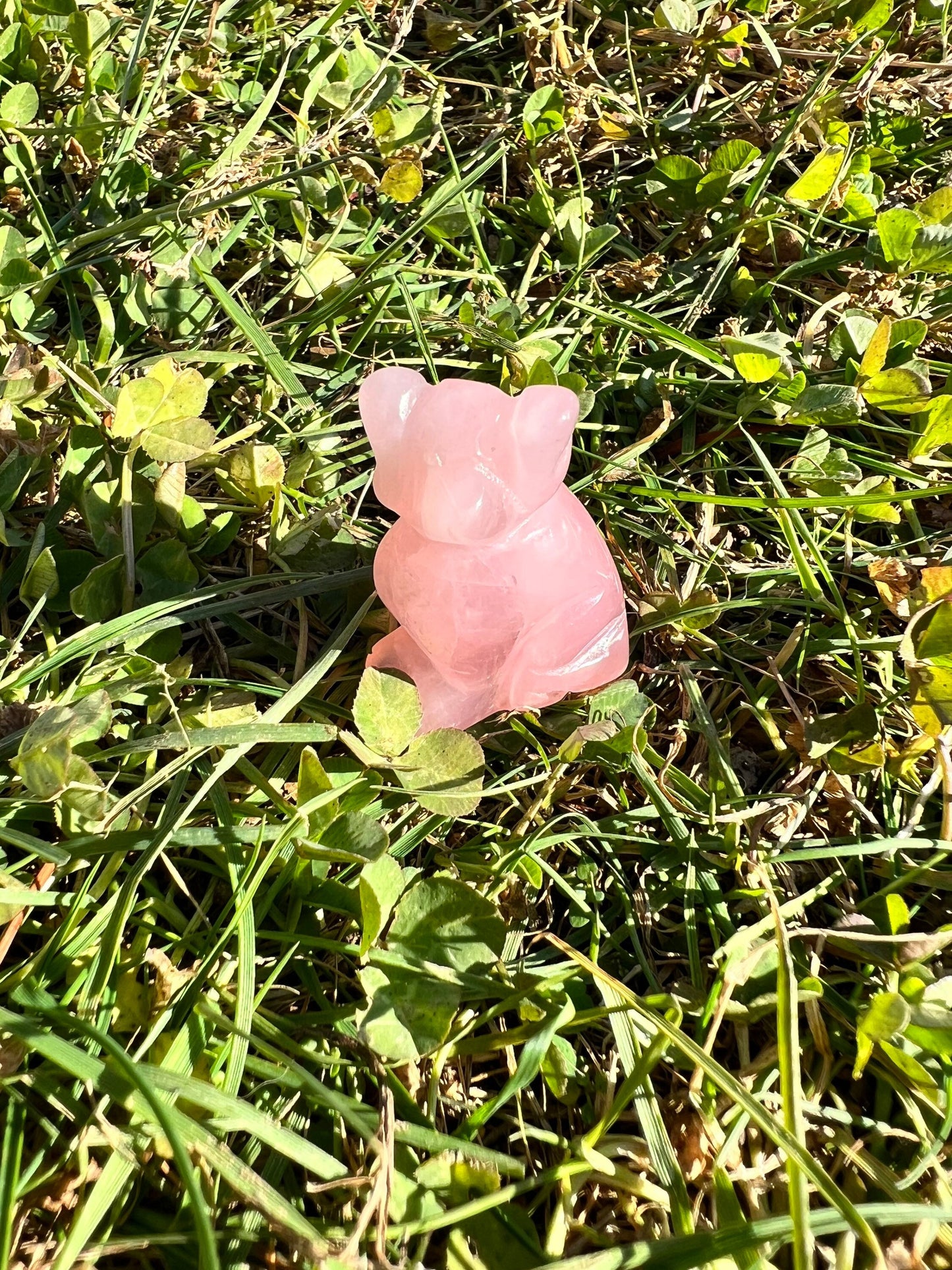 Adorable Cotton Candy Pink Rose Quartz Dog