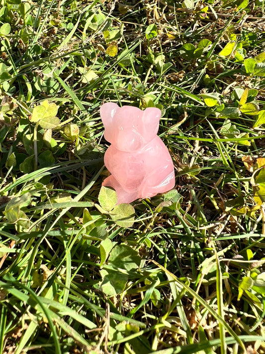 Adorable Cotton Candy Pink Rose Quartz Dog