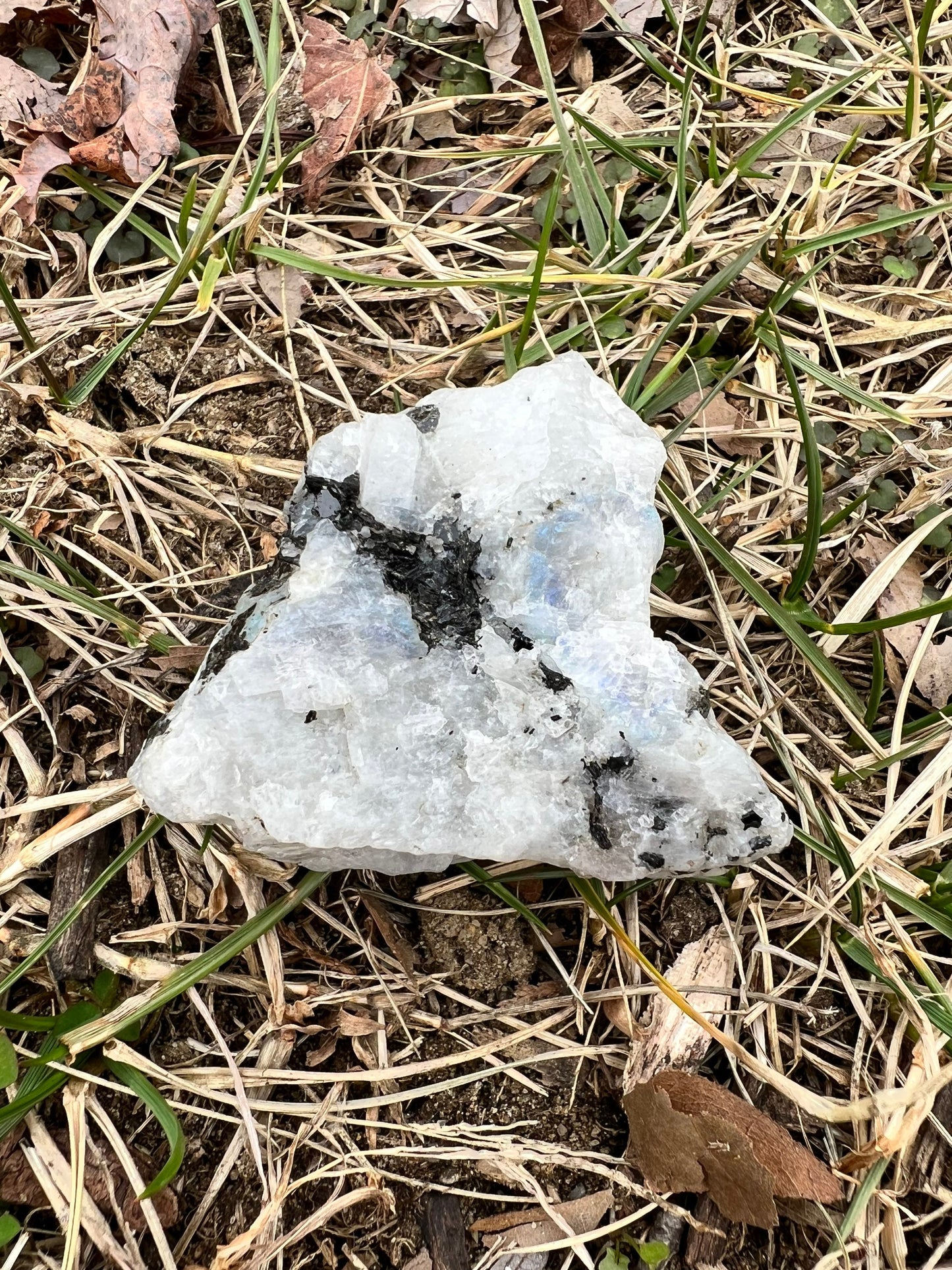 Beautiful Raw Rainbow Moonstone with Blue Flash