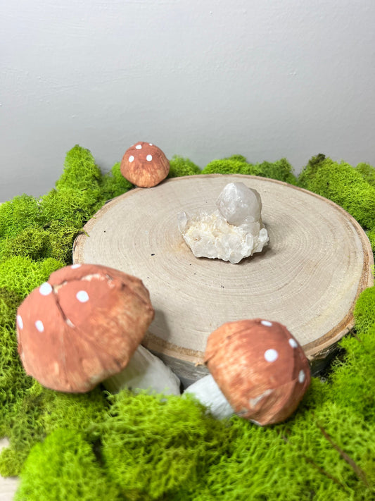 Beautiful Raw Quartz Cluster