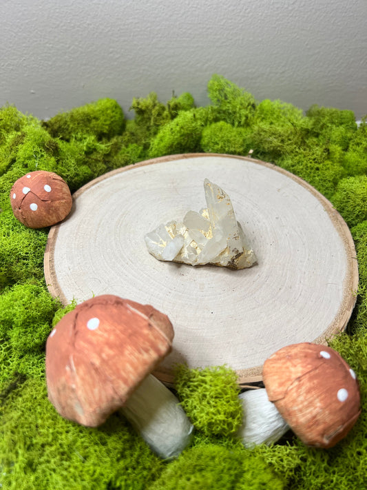 Beautiful Raw Quartz Cluster