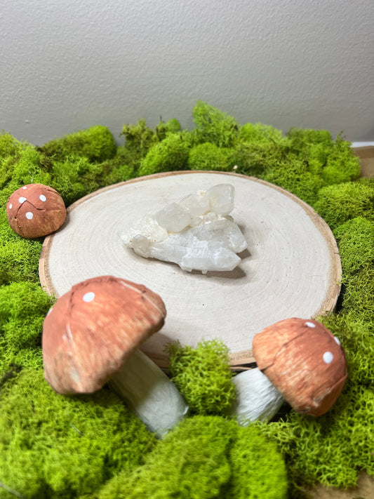 Beautiful Raw Quartz Cluster