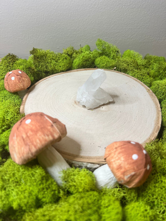 Beautiful Raw Quartz Cluster