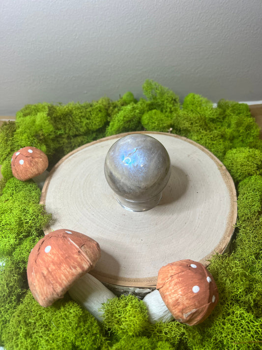 Gorgeous High Quality Moonstone Sphere with Amazing Blue Flash